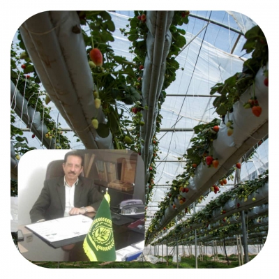 رئیس سازمان نظام مهندسی کشاورزی و منابع طبیعی استان قم در مصاحبه با ایرنا: